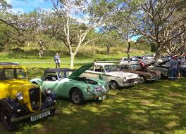 Support for Abbey School at Alton Car Show